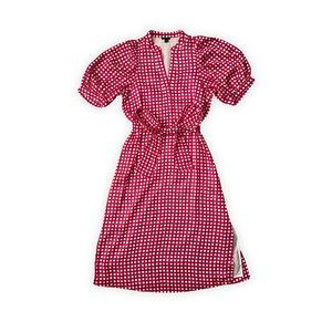 ANN TAYLOR | PINK GINGHAM BELTED SHIRTDRESS SHORT SLEEVE | PETITE SMALL | EUC